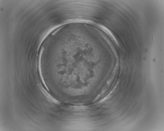 X0000060791244200511241836