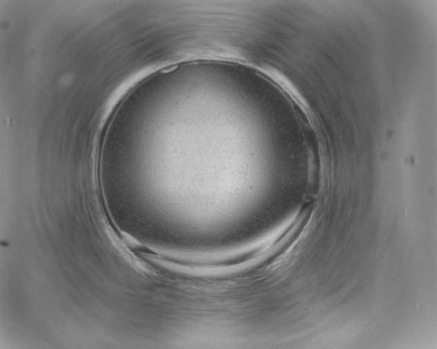 X0000060791246200511241836