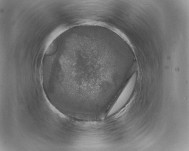 X0000060791247200511241836