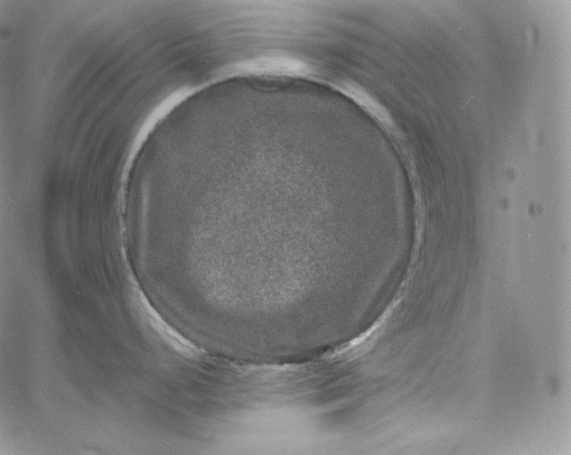 X0000060791248200511241836