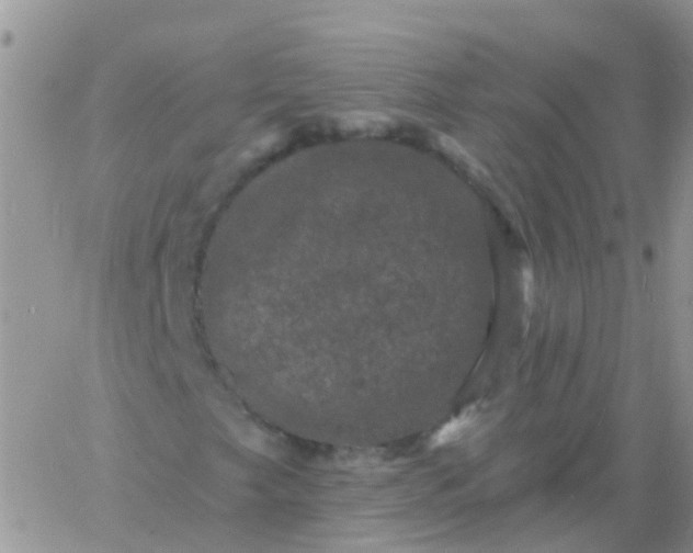 X0000060791249200511241836