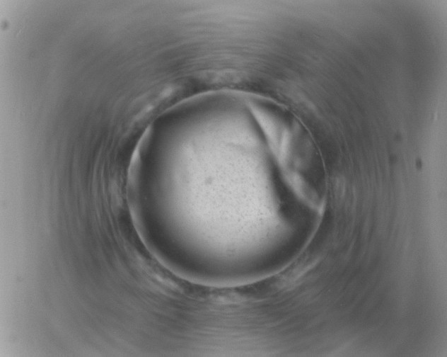 X0000060791250200511241836