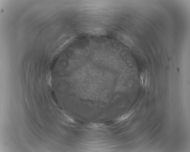 X0000060791251200511241836