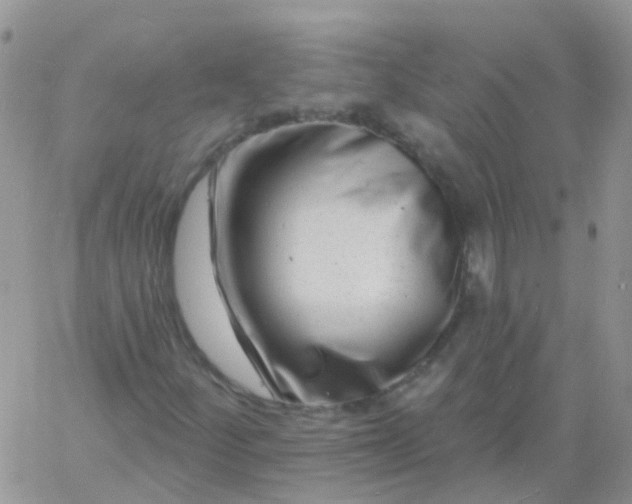 X0000060791252200511241836