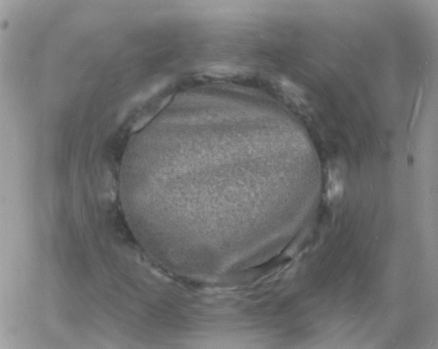 X0000060791253200511241836