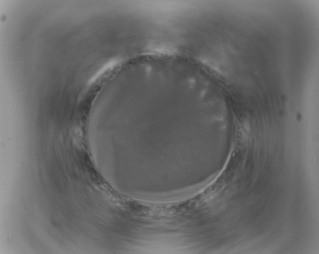 X0000060791254200511241836