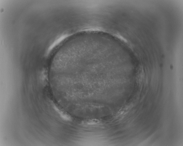 X0000060791255200511241836