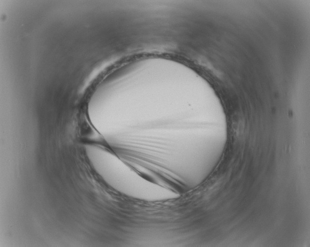 X0000060791256200511241836