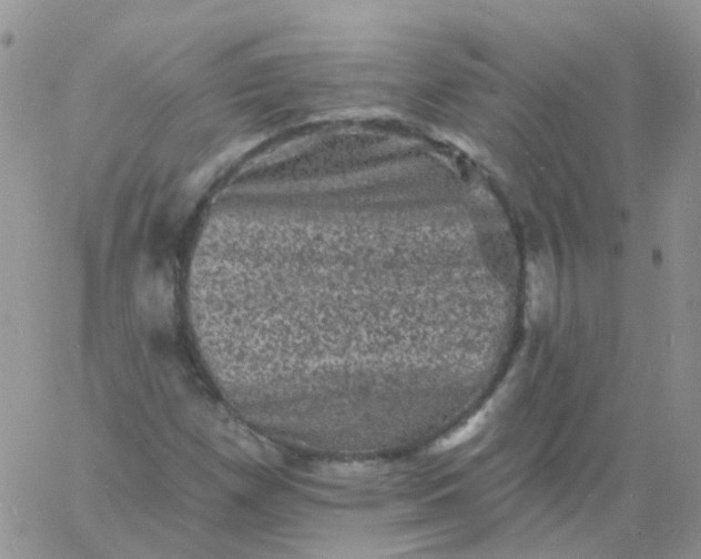 X0000060791257200511241836