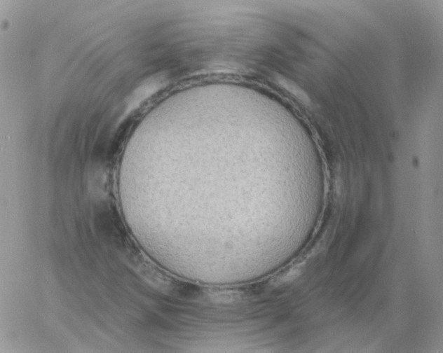 X0000060791258200511241836