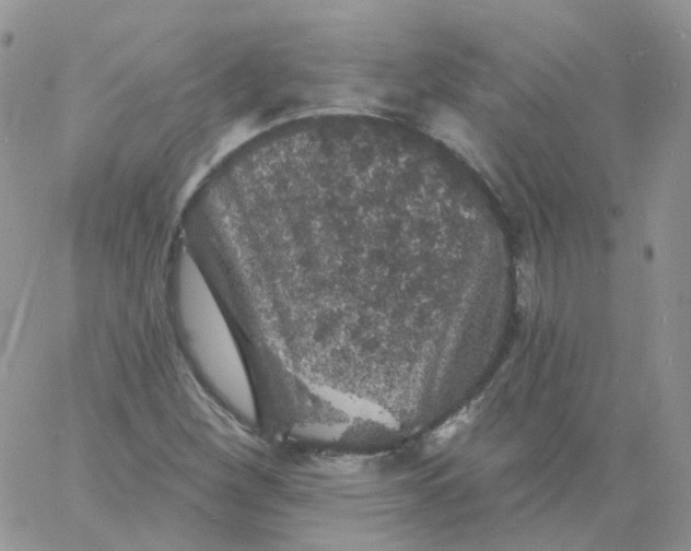 X0000060791260200511241836