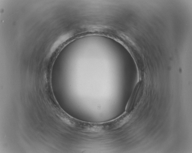 X0000060791261200511241836