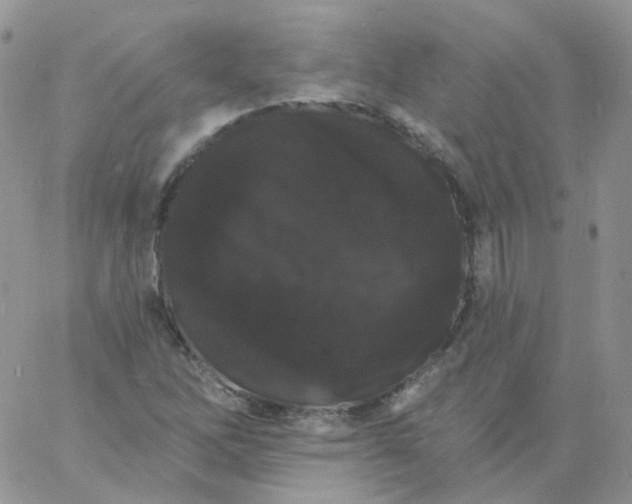 X0000060791262200511241836