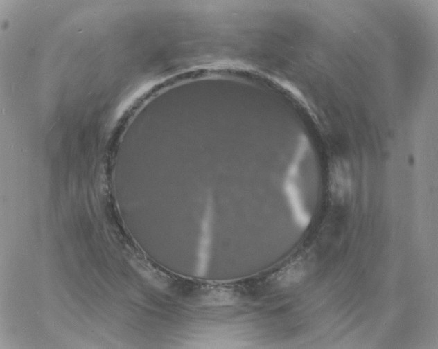 X0000060791263200511241835