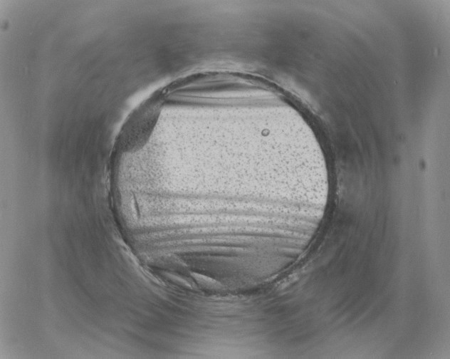 X0000060791264200511241835