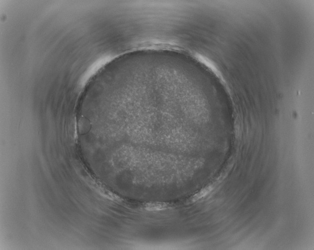 X0000060791267200511241835