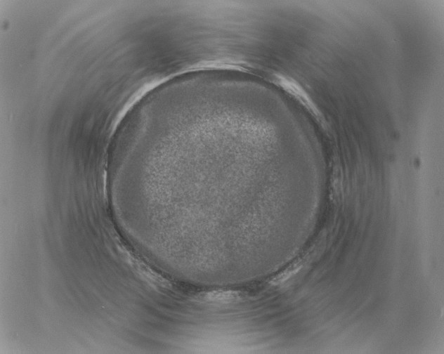 X0000060791268200511241835