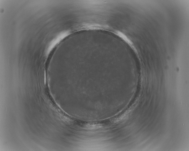 X0000060791269200511241835