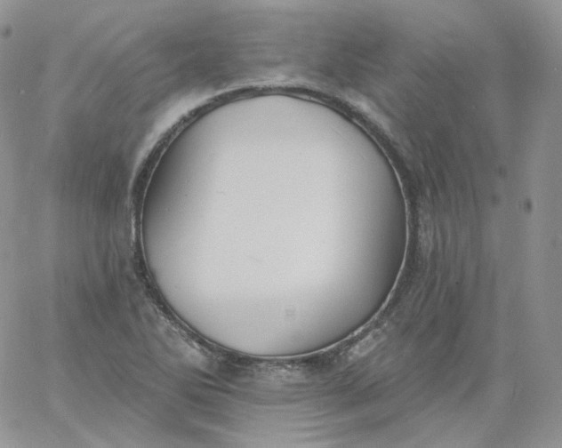 X0000060791270200511241835