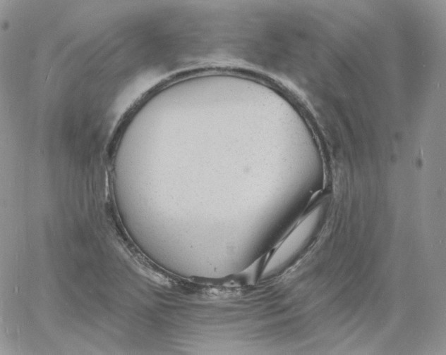 X0000060791271200511241835