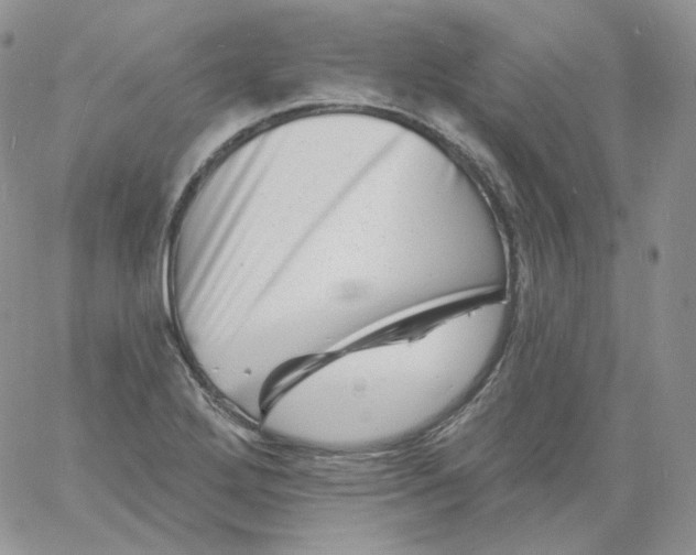 X0000060791272200511241835