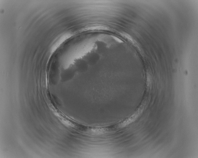 X0000060791274200511241835