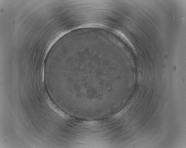 X0000060791276200511241835