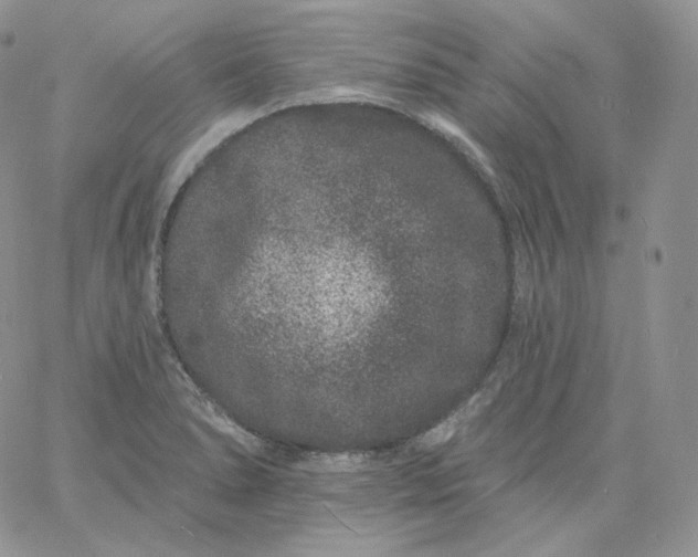 X0000060791278200511241835