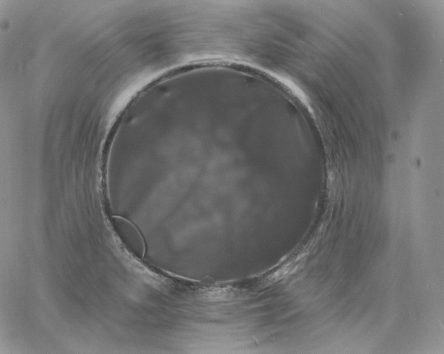 X0000060791279200511241835