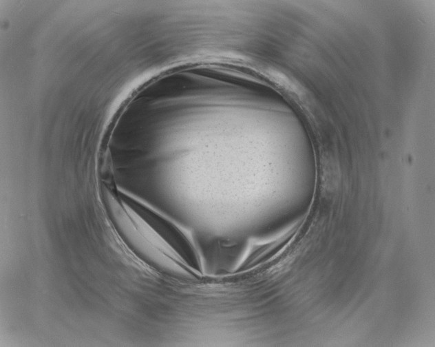 X0000060791280200511241835