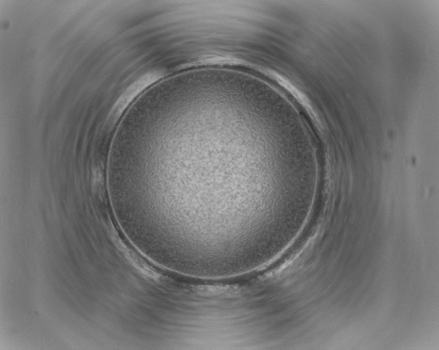 X0000060791281200511241835