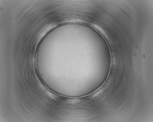 X0000060791282200511241835