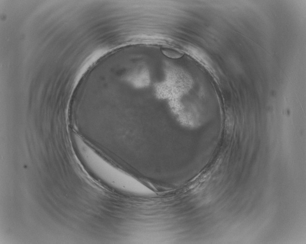 X0000060791283200511241835