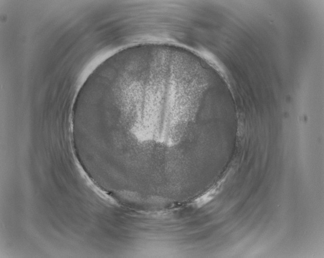 X0000060791287200511241835