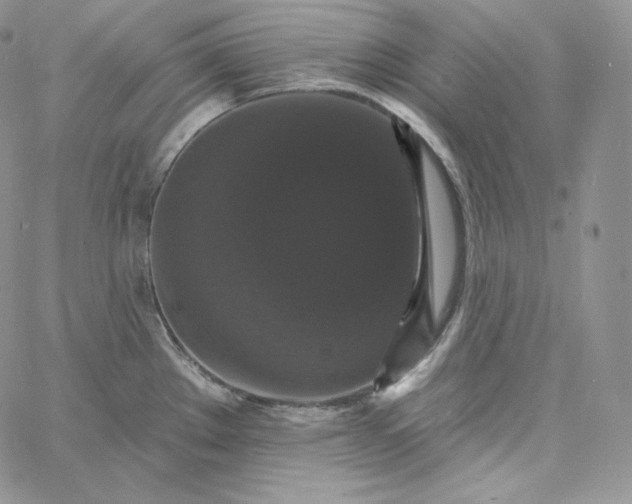 X0000060791289200511241835