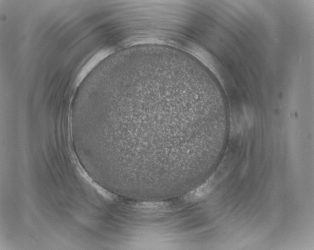 X0000060791290200511241835