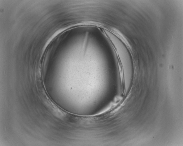 X0000060791292200511241835