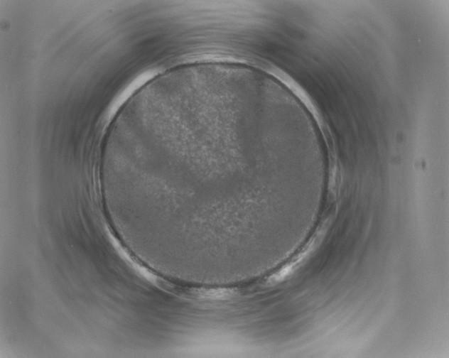 X0000060791293200511241835