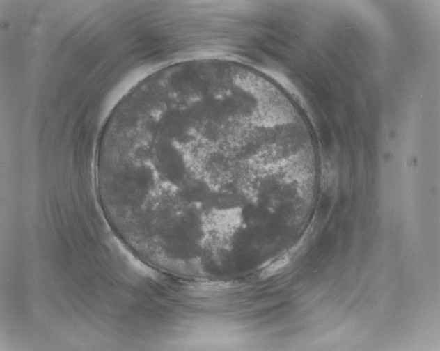 X0000060791294200511241835