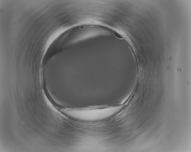 X0000060791295200511241835