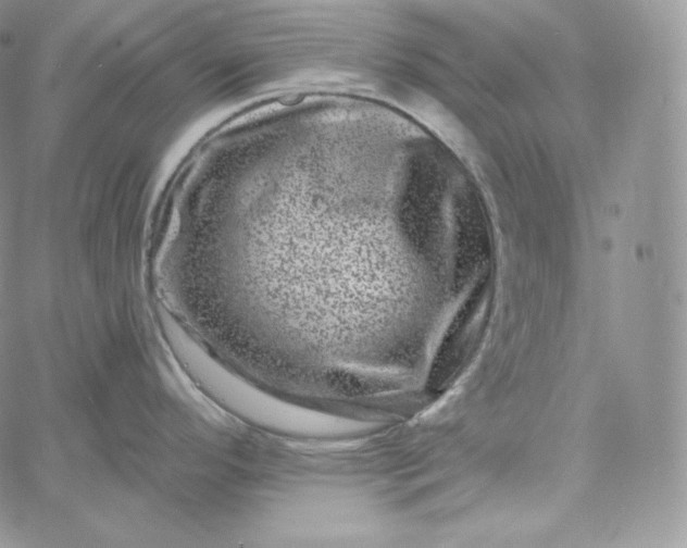 X0000060791296200511241835