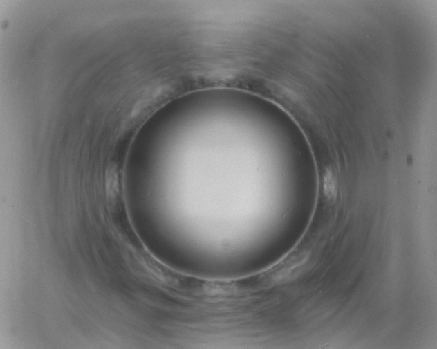 X0000060791299200511241834