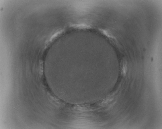 X0000060791301200511241834