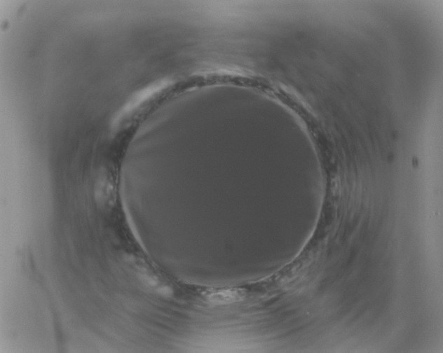 X0000060791303200511241834