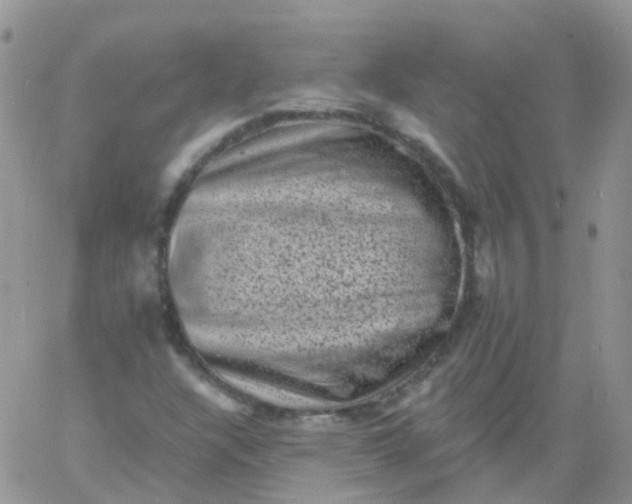 X0000060791304200511241834