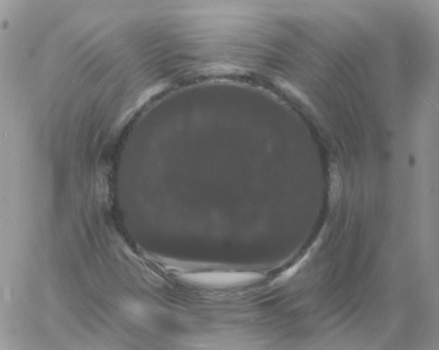 X0000060791305200511241834