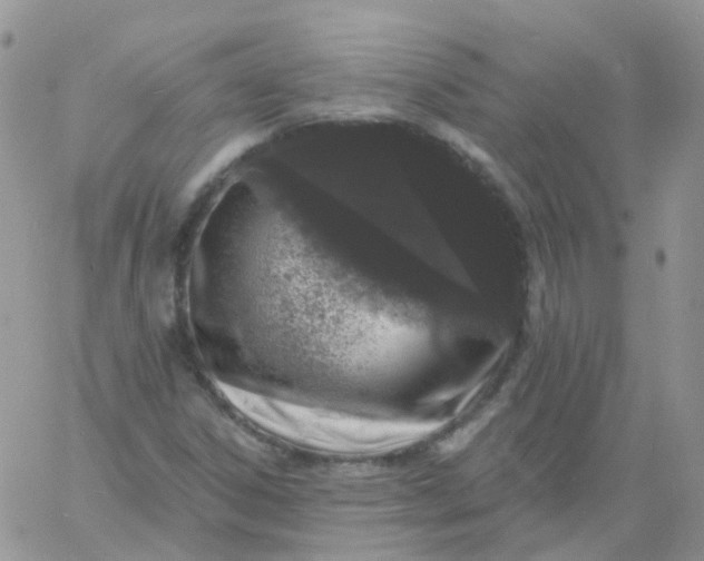 X0000060791306200511241834