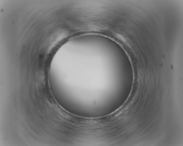 X0000060791307200511241834