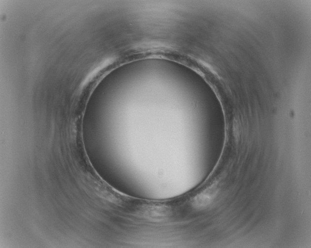 X0000060791309200511241834