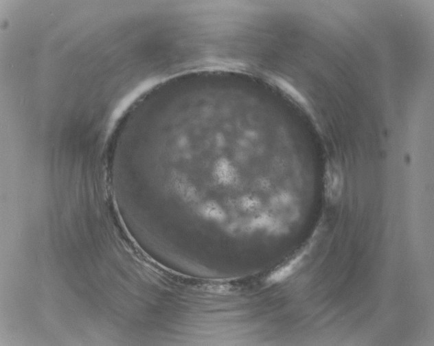 X0000060791310200511241834